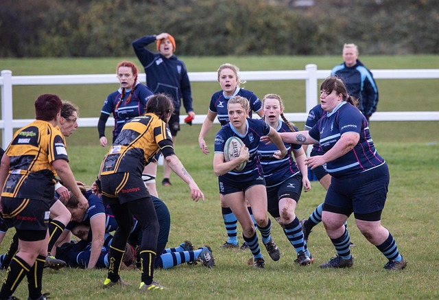 的激烈竞争 的激烈竞争