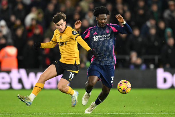 国足花国家 国足花国家